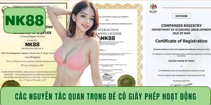 Các nguyên tắc quan trọng để có giấy phép hoạt động