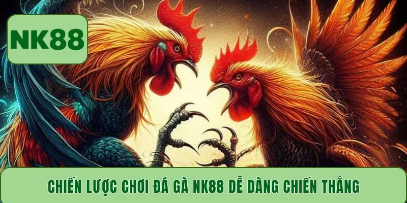 Chiến lược chơi đá gà NK88 dễ dàng chiến thắng